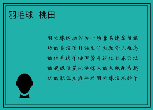 羽毛球  桃田